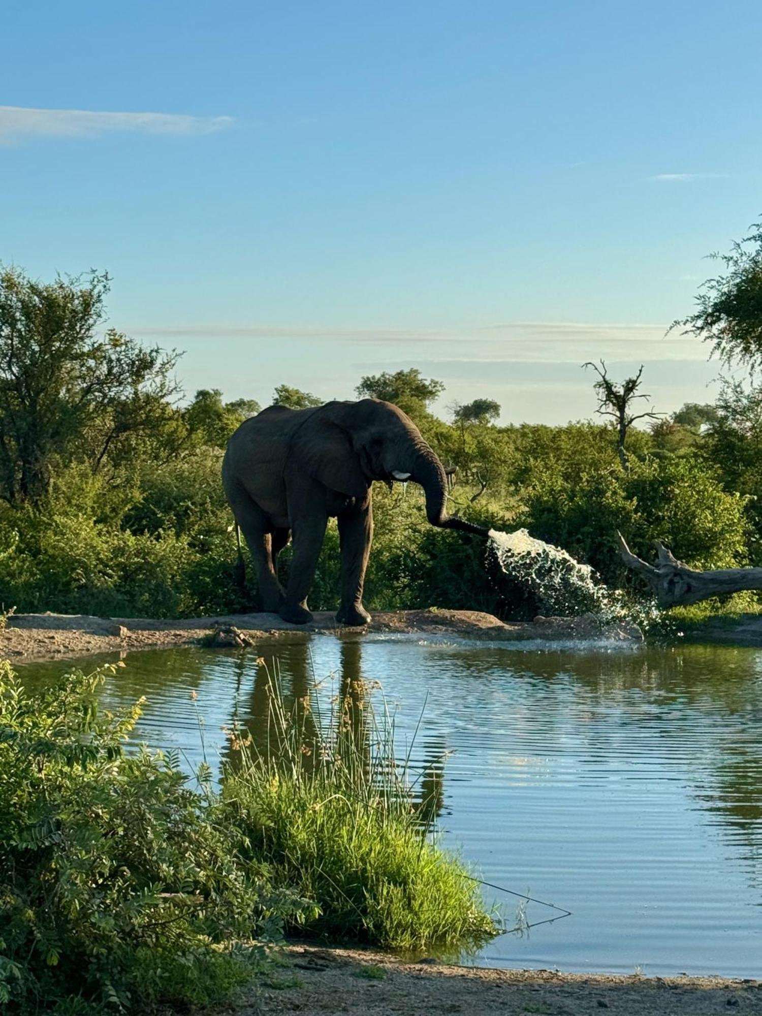 Ku Sungula Safari Lodge Naturschutzgebiet Balule Exterior foto