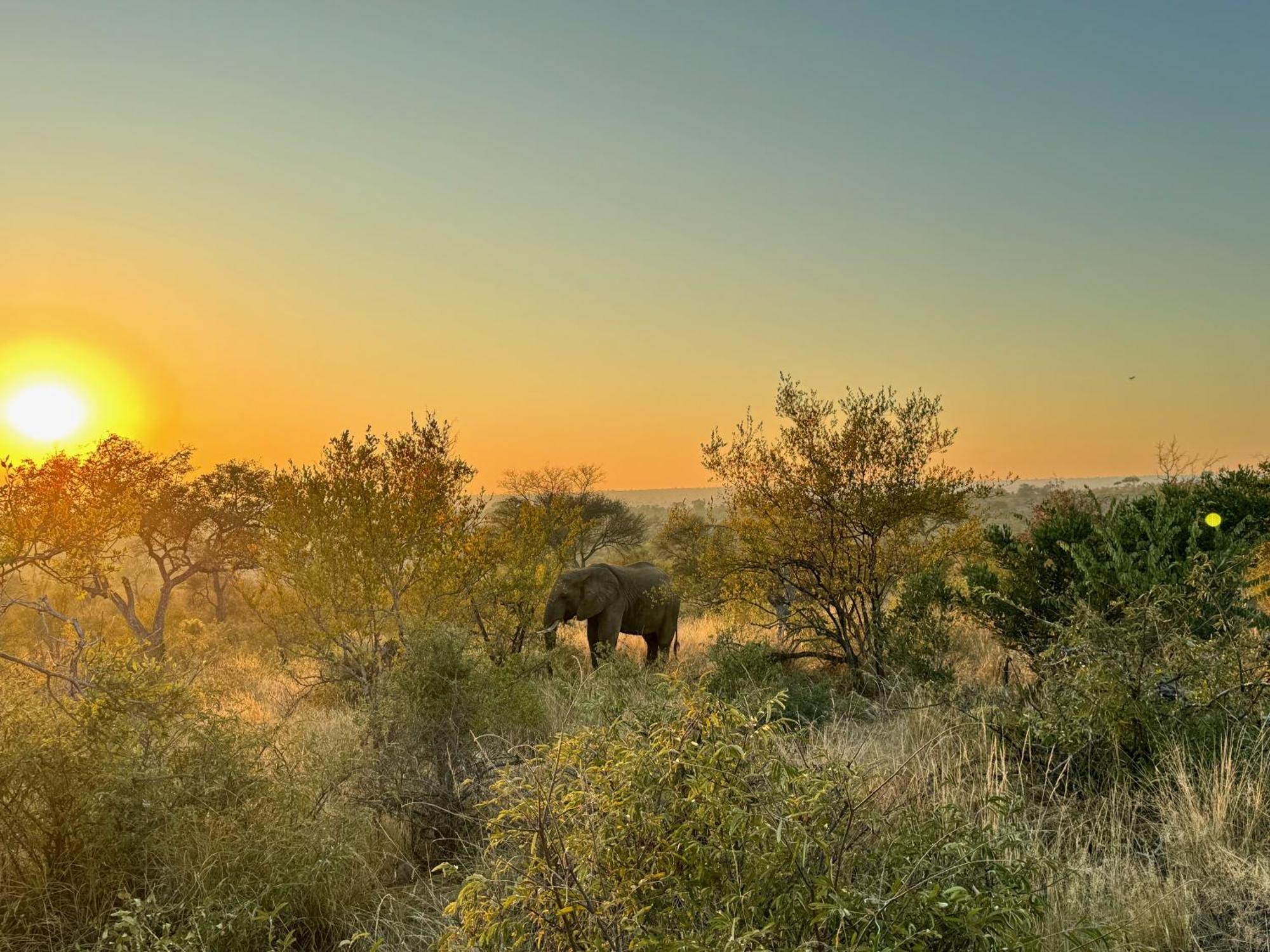 Ku Sungula Safari Lodge Naturschutzgebiet Balule Exterior foto