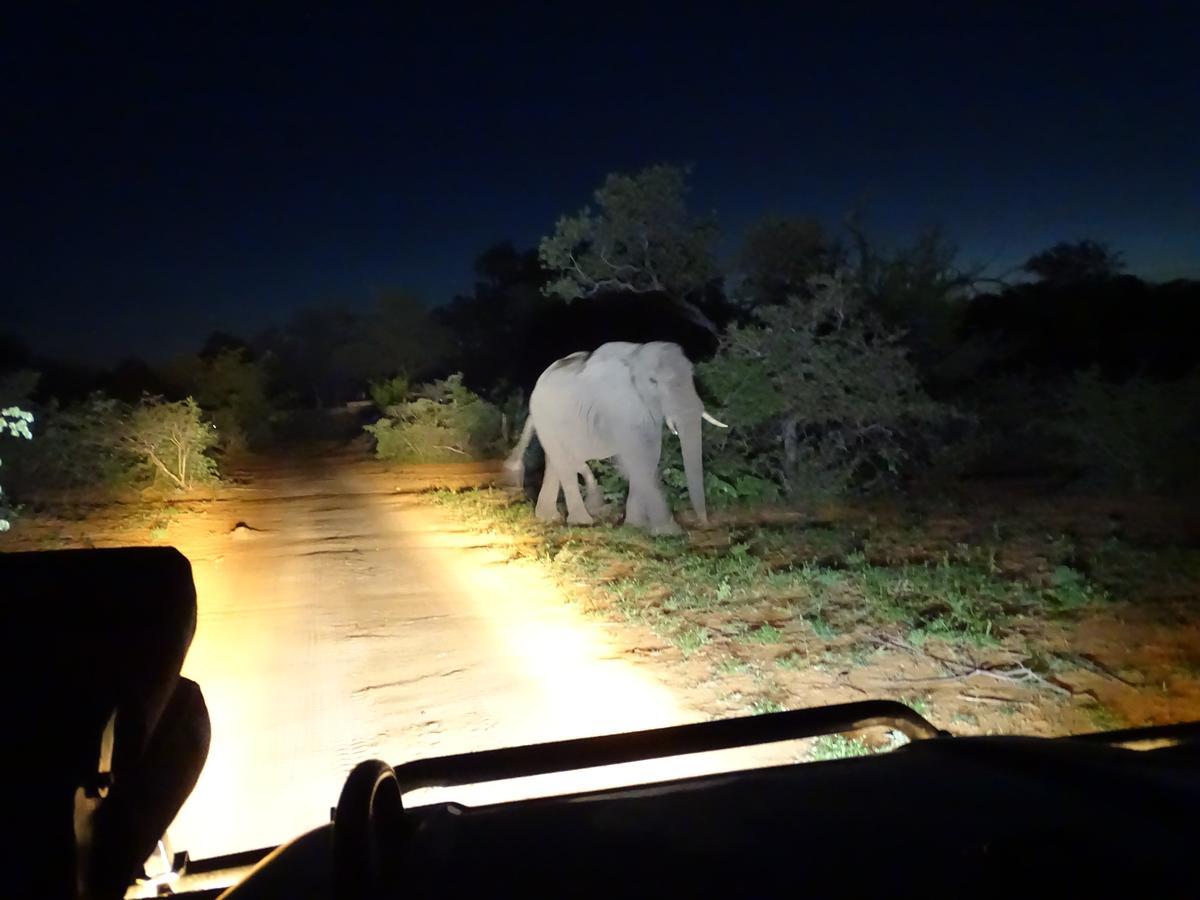 Ku Sungula Safari Lodge Naturschutzgebiet Balule Exterior foto