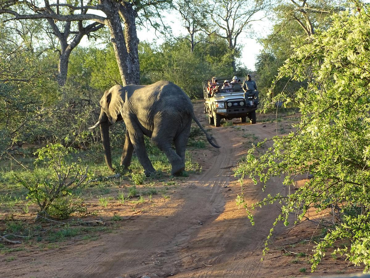 Ku Sungula Safari Lodge Naturschutzgebiet Balule Exterior foto