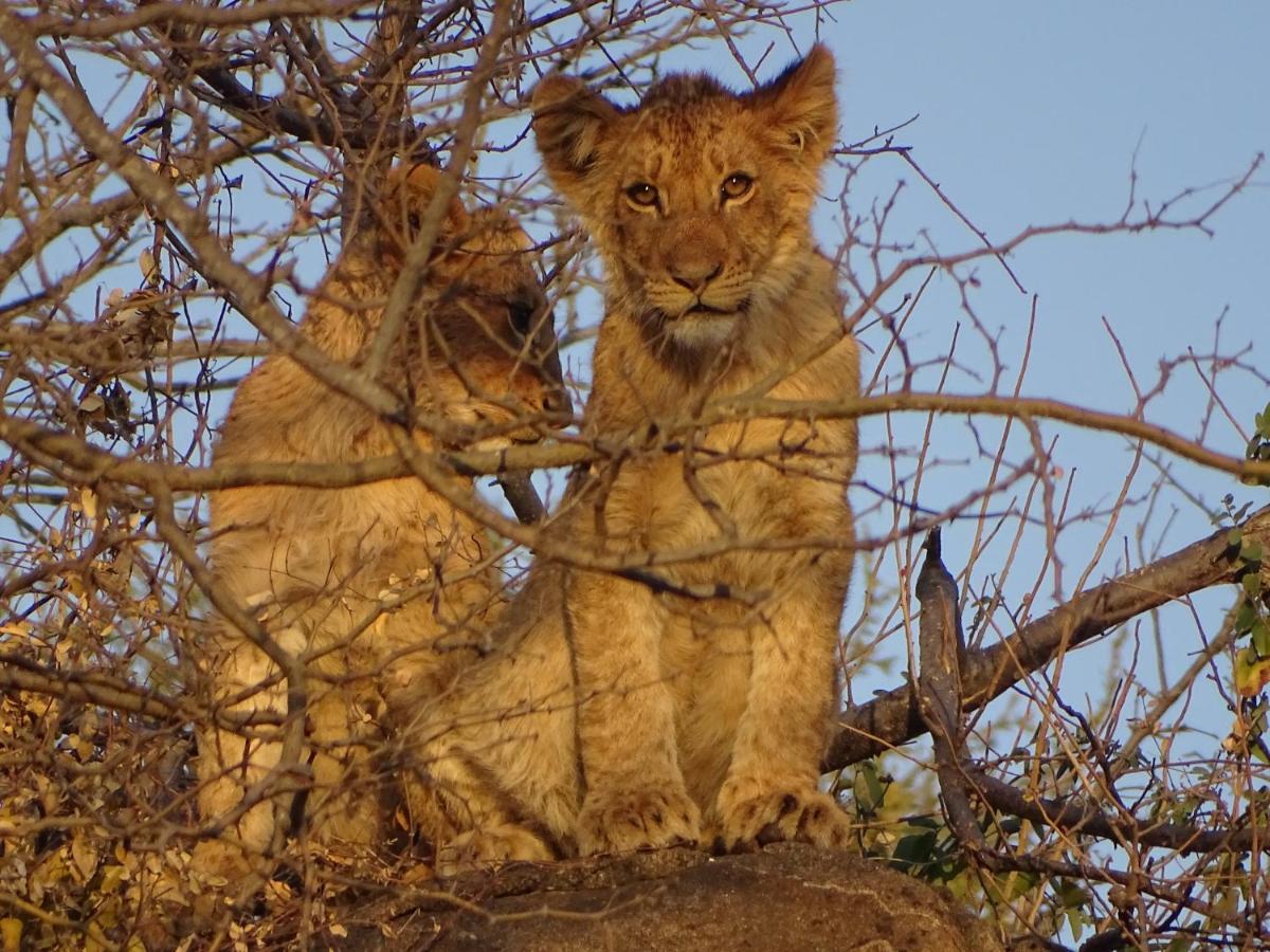 Ku Sungula Safari Lodge Naturschutzgebiet Balule Exterior foto